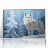 Framed wall art featuring a striking wolf design in a modern acrylic frame, showcasing intricate details and vibrant colors, perfect for wildlife enthusiasts.