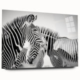 Side view of an acrylic glass wall art piece featuring a vibrant zebra design, showcasing intricate details and bold colors, perfect for animal-themed decor.