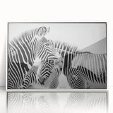 Framed wall art featuring a striking zebra design on a white background, showcasing bold black and white stripes that evoke the beauty of wildlife. Ideal for animal lovers and modern home decor.