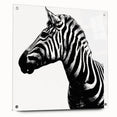 Zebra-themed wall art design displayed in a sleek acrylic frame, highlighting vibrant black and white stripes, perfect for modern decor enthusiasts.