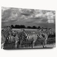 Acrylic glass wall art featuring a striking zebra design from the "Animals: A Wild Life" collection, displayed in a side view with visible pins, showcasing vibrant black and white patterns ideal for modern decor.