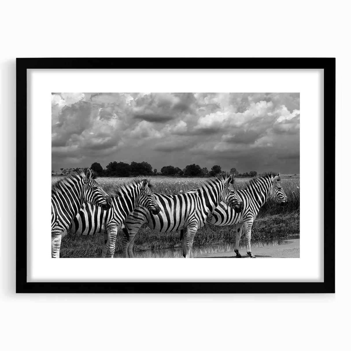 Framed wall art featuring a striking zebra design in black and white, set against a stylish black mat, perfect for adding a modern touch to home decor.