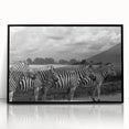 Framed acrylic wall art showcasing a striking zebra design, featuring bold black and white stripes, perfect for adding a touch of wildlife elegance to home decor.