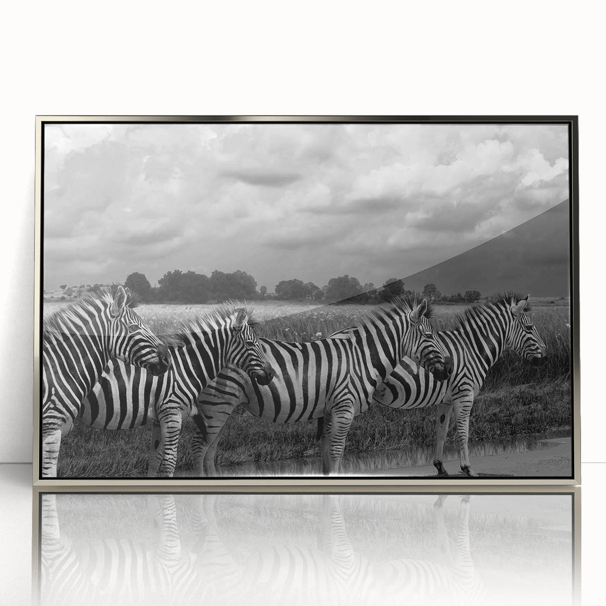Framed acrylic wall art showcasing a striking zebra design, featuring bold black and white stripes, ideal for wildlife-themed decor in contemporary spaces.