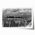 Zebra design wall art print showcasing intricate black and white patterns, ideal for wildlife enthusiasts. This rolled canvas adds a modern touch to home decor.