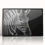 Framed acrylic wall art featuring a striking zebra design in black and white, ideal for wildlife enthusiasts seeking modern decor. Perfect for adding a touch of nature-inspired elegance to any room.