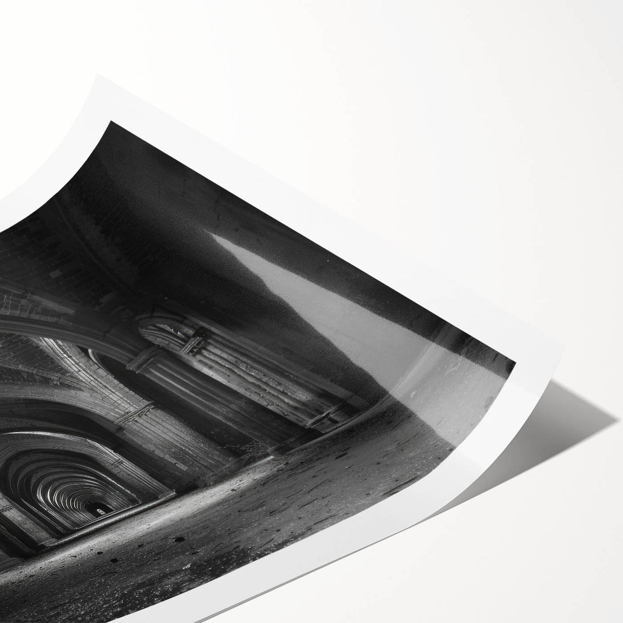 Extra large wall art featuring line art flowers within architectural arches, in black and white, rolled print format.