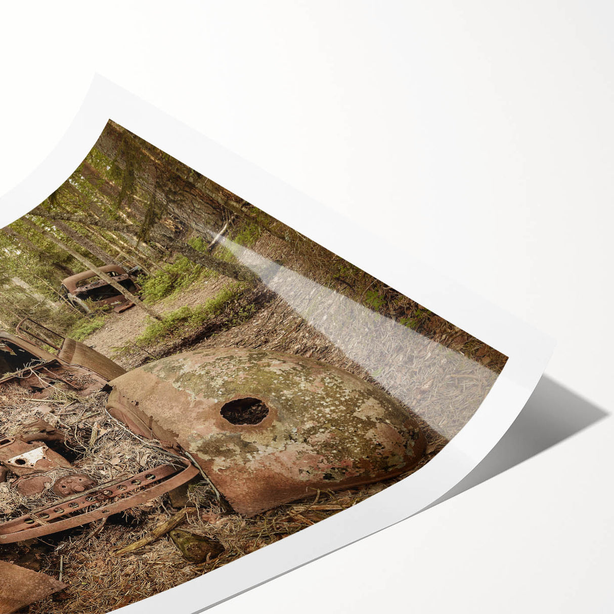 Extra large wall art featuring line art flowers on a rolled print, set in muted earth tones.