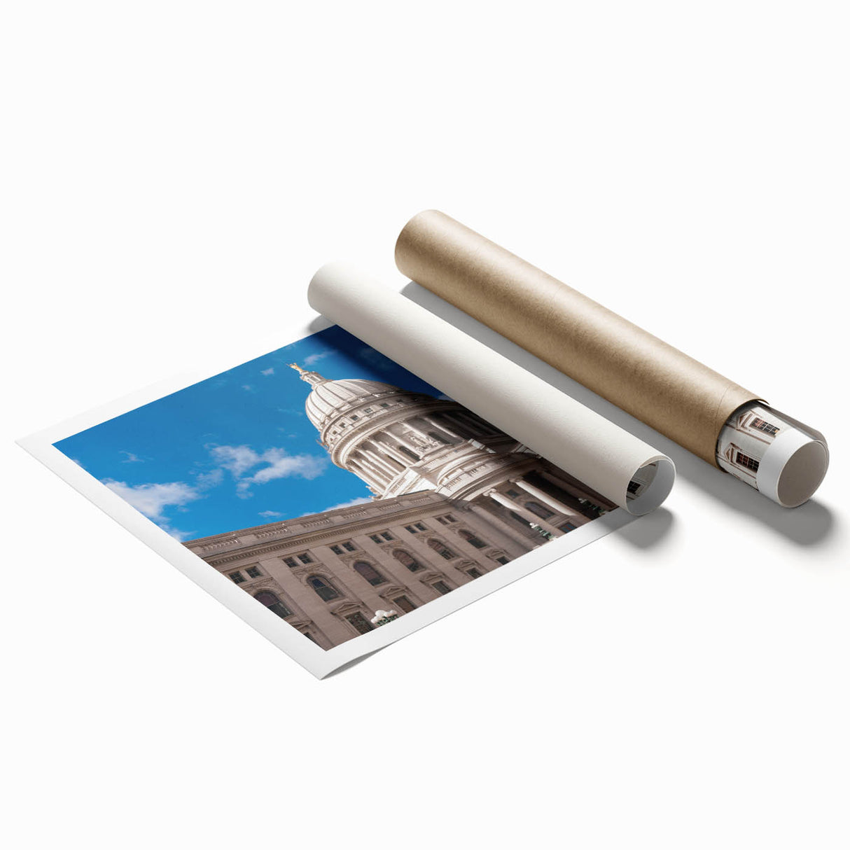 Extra large rolled print featuring a floral design with muted earth tones, ideal for classy bathroom wall art.