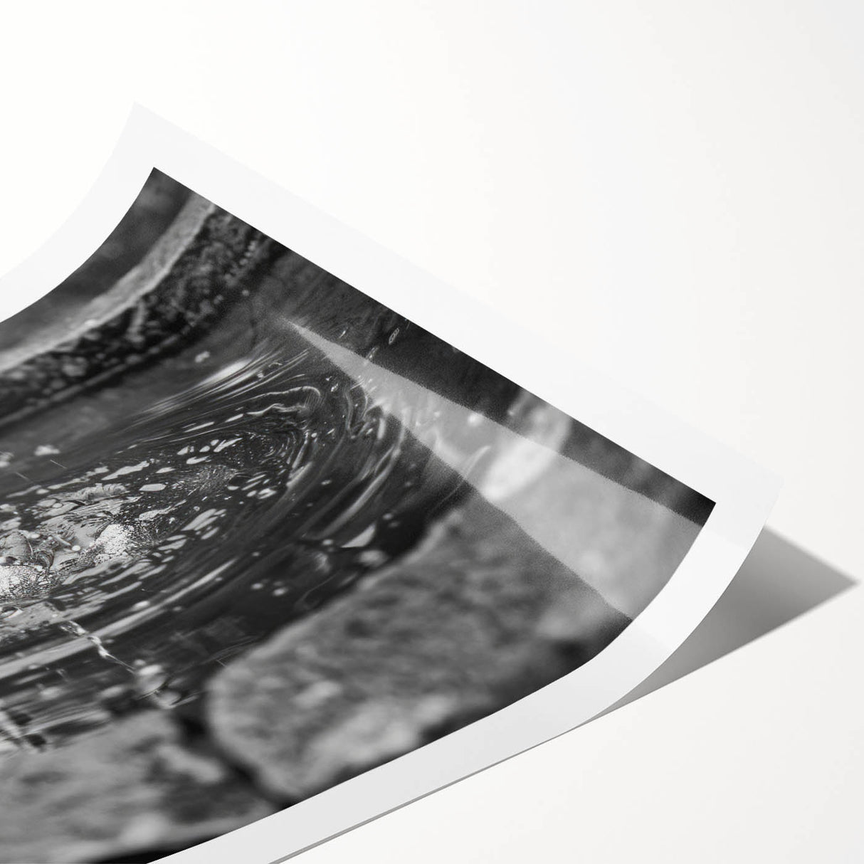 Extra large wall art featuring line art flowers in black on a white background, rolled print format.