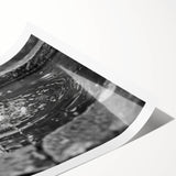 Extra large wall art featuring line art flowers in black on a white background, rolled print format.