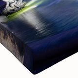 Large art of a black and white landscape painting on stretched canvas, featuring a detailed architectural fountain design.