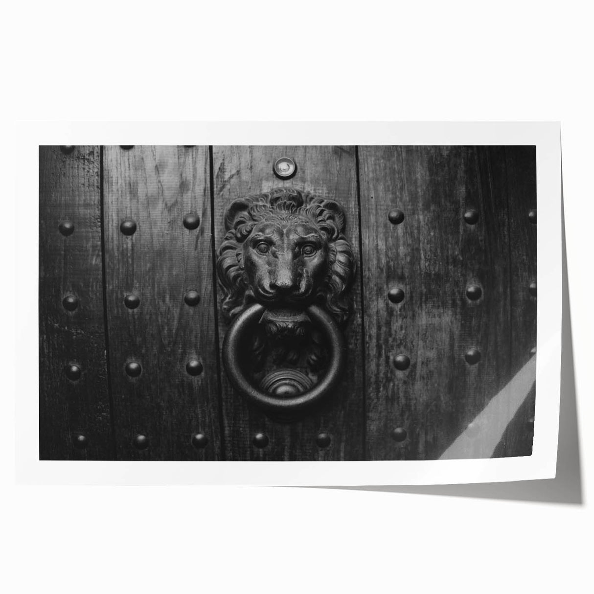 Extra large rolled print depicting a vibrant floral design, ideal for art wall dining room or classy bathroom wall art.