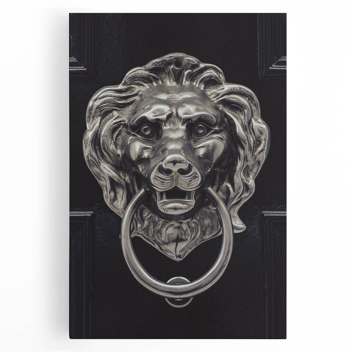 Large black and white photo of architectural hardware on stretched canvas, suitable for kitchen wall art.
