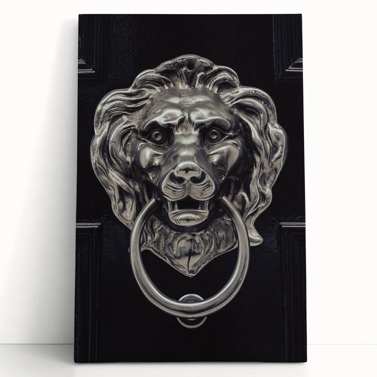 Black and white photo of architectural hardware on stretched canvas, ideal for kitchen wall art or bedroom decor.