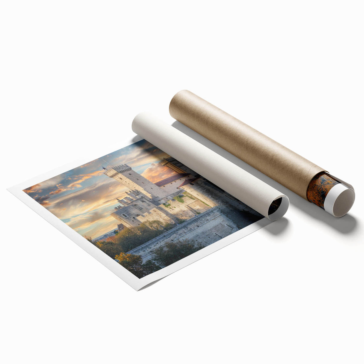 Extra large rolled print of a floral art design on a palace architecture backdrop, in pastel shades.