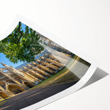 Extra large wall art featuring line art flowers in black and white on a rolled print, ideal for large living room decor.