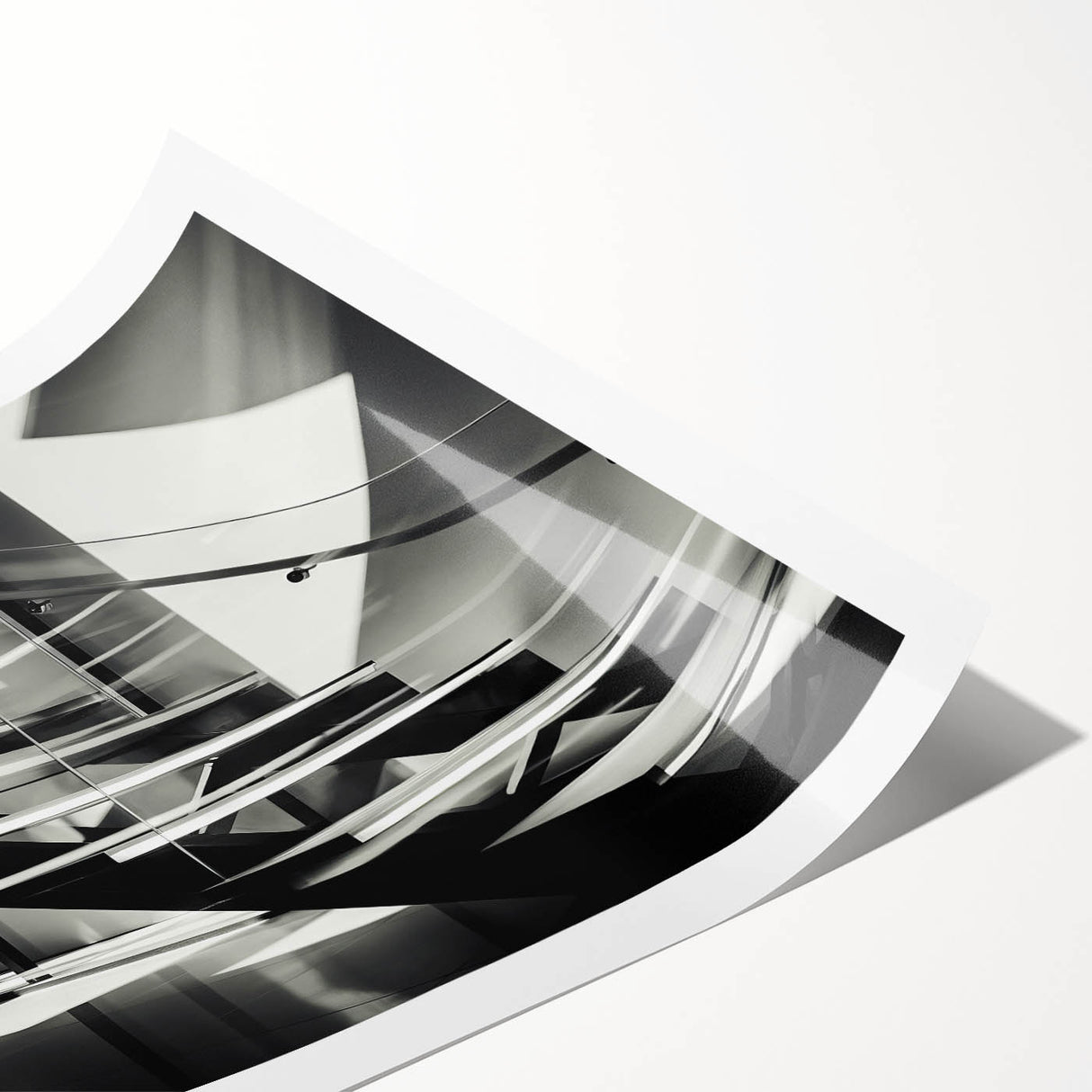 Extra large rolled print featuring line art flowers in black and white, ideal for large living room wall art.