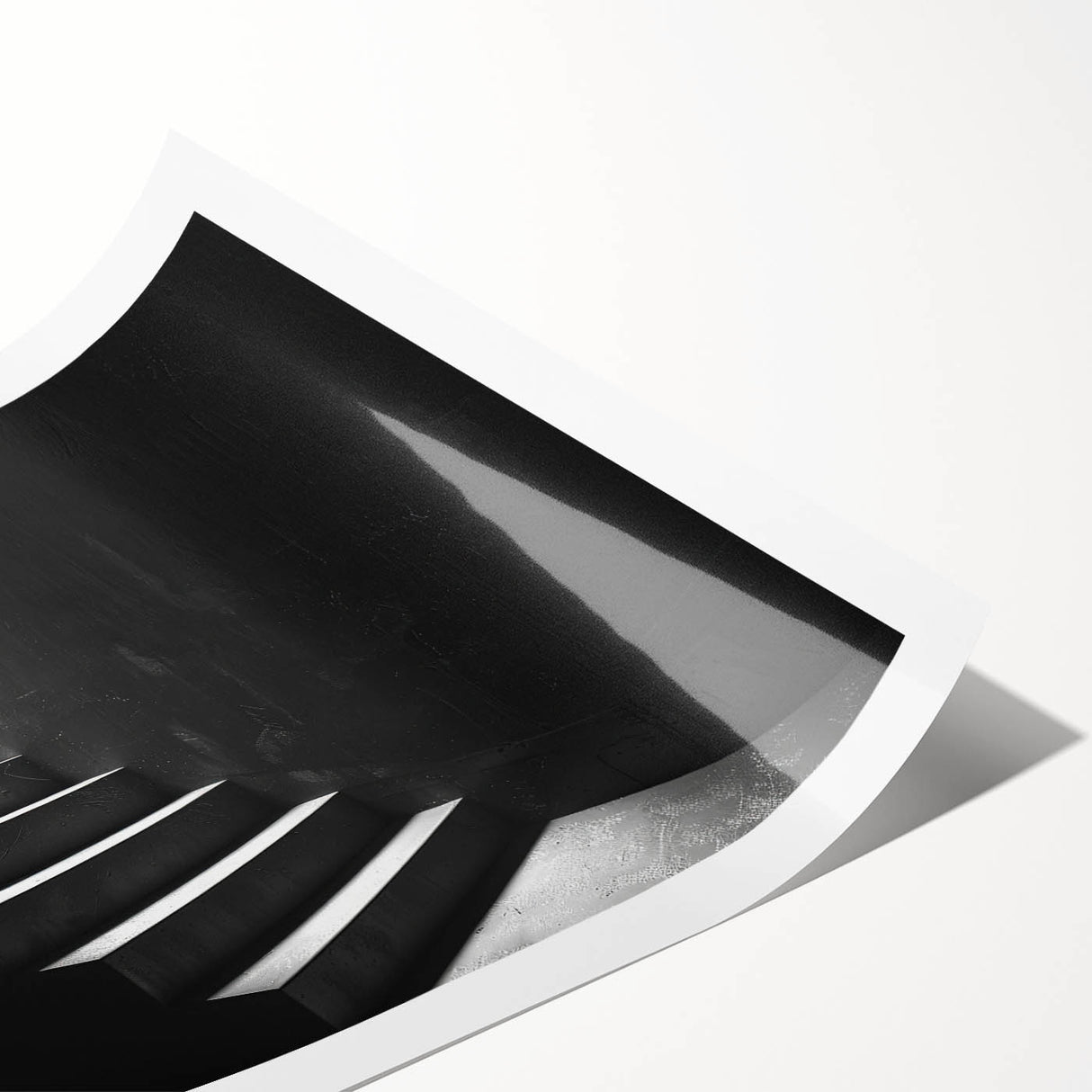 Extra large wall art featuring line art flowers on a rolled print, with a monochrome palette.