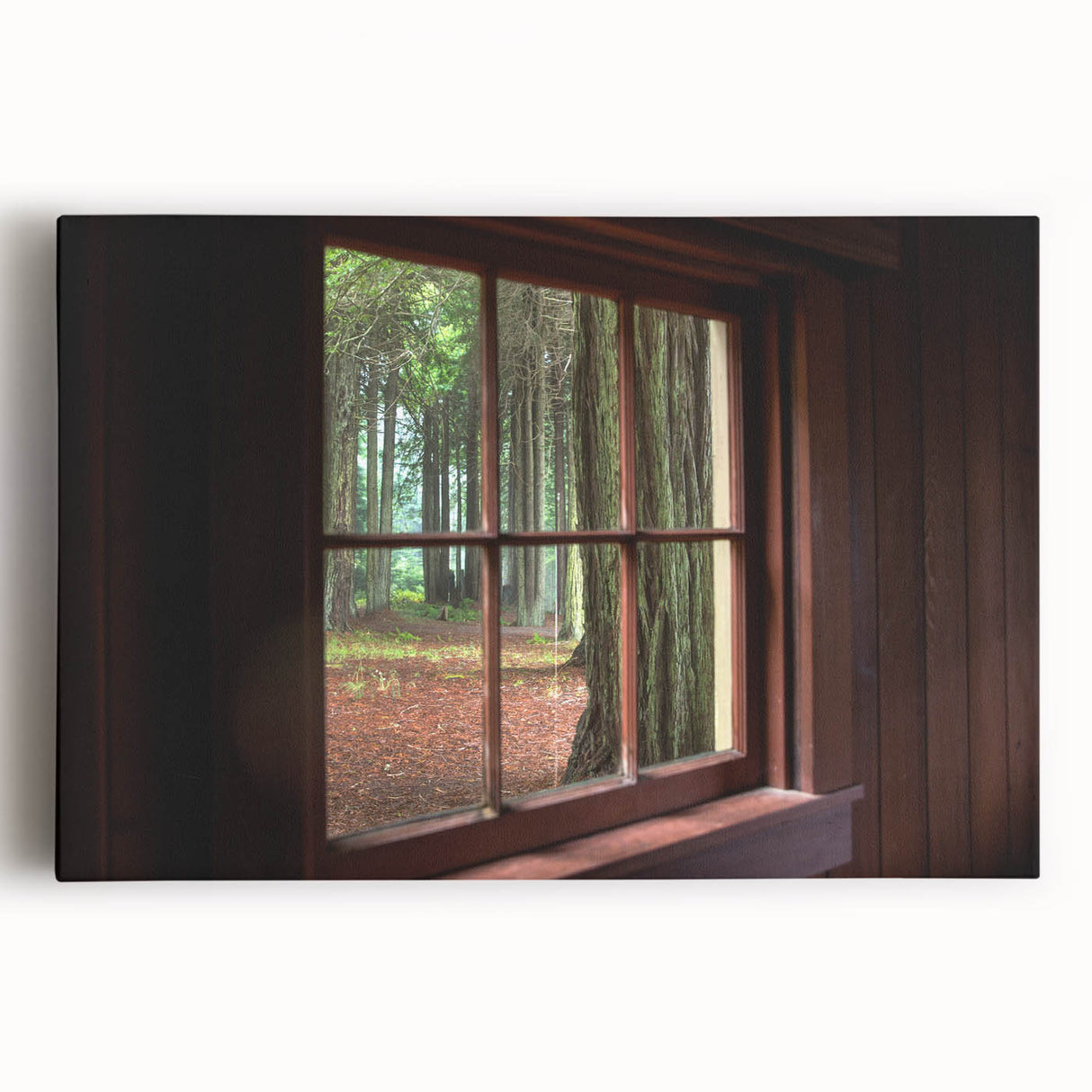 Black and white photo of an architectural window design on large stretched canvas, suitable for kitchen wall art.