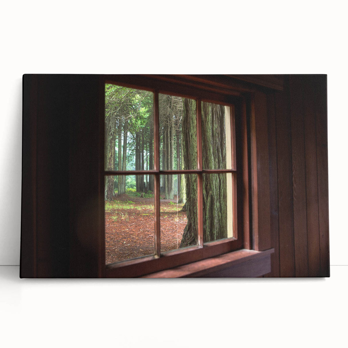 Black and white photograph of an architectural window design on a large stretched canvas.
