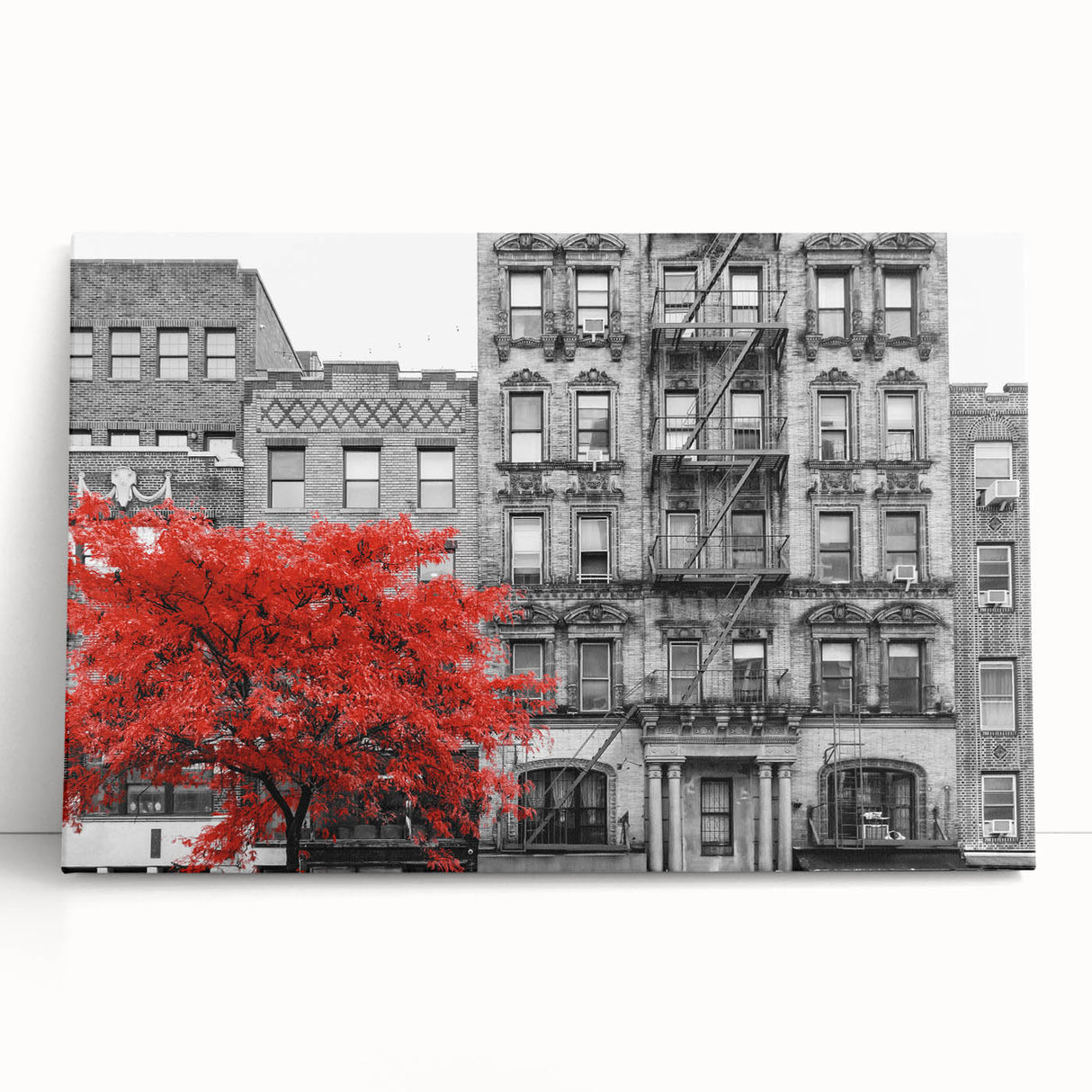 Black and white photo of architectural windows on stretched canvas, suited for kitchen or bedroom wall art.