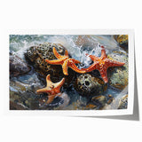 Coastal Wall Art – Starfish Ocean Art Prints for Nautical Home Decor