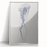 Intricate Jellyfish Coastal Wall Art - Nautical Ocean Decor Print