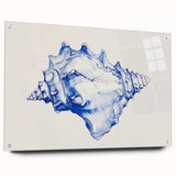 Seashell Coastal Wall Art – Nautical Beach-Themed Ocean Print