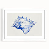 Seashell Coastal Wall Art – Nautical Beach-Themed Ocean Print