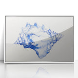 Seashell Coastal Wall Art – Nautical Beach-Themed Ocean Print