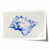 Seashell Coastal Wall Art – Nautical Beach-Themed Ocean Print