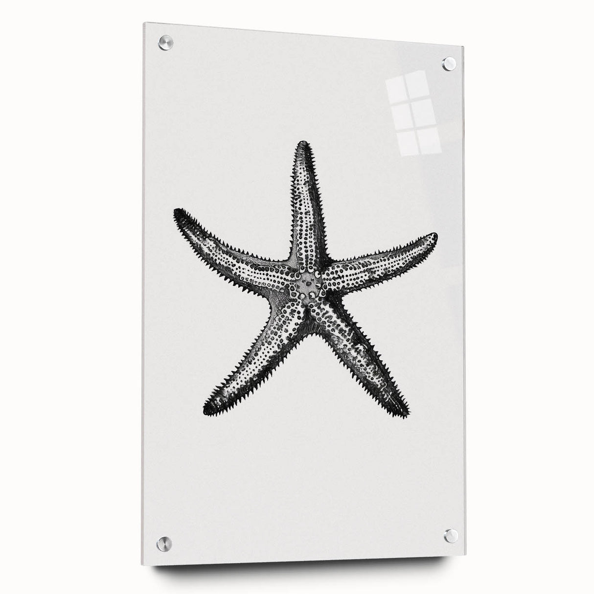 Black & White Starfish Coastal Wall Art - Nautical Decor Ocean Art Print