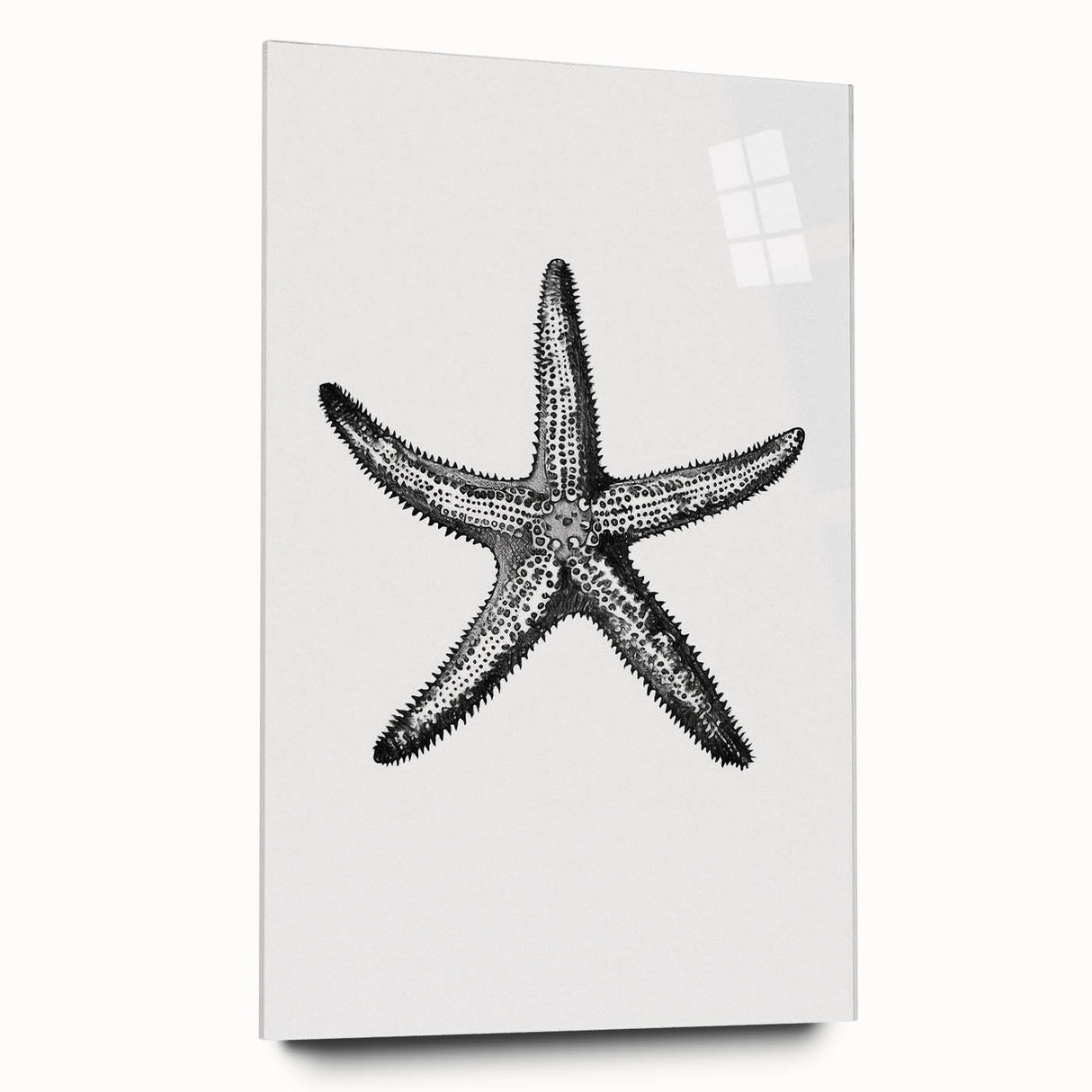 Black & White Starfish Coastal Wall Art - Nautical Decor Ocean Art Print
