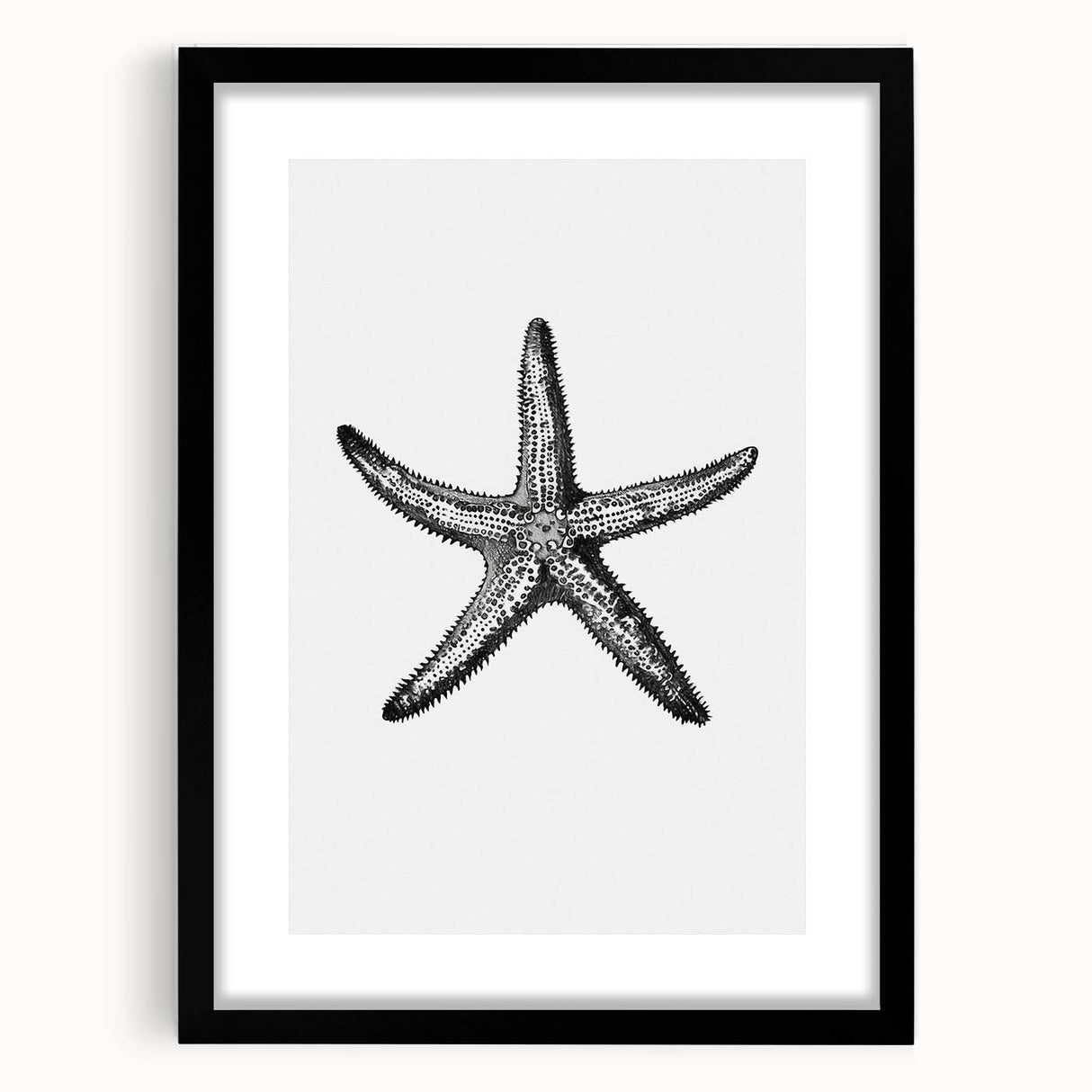Black & White Starfish Coastal Wall Art - Nautical Decor Ocean Art Print