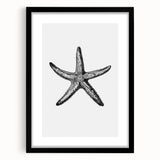 Black & White Starfish Coastal Wall Art - Nautical Decor Ocean Art Print
