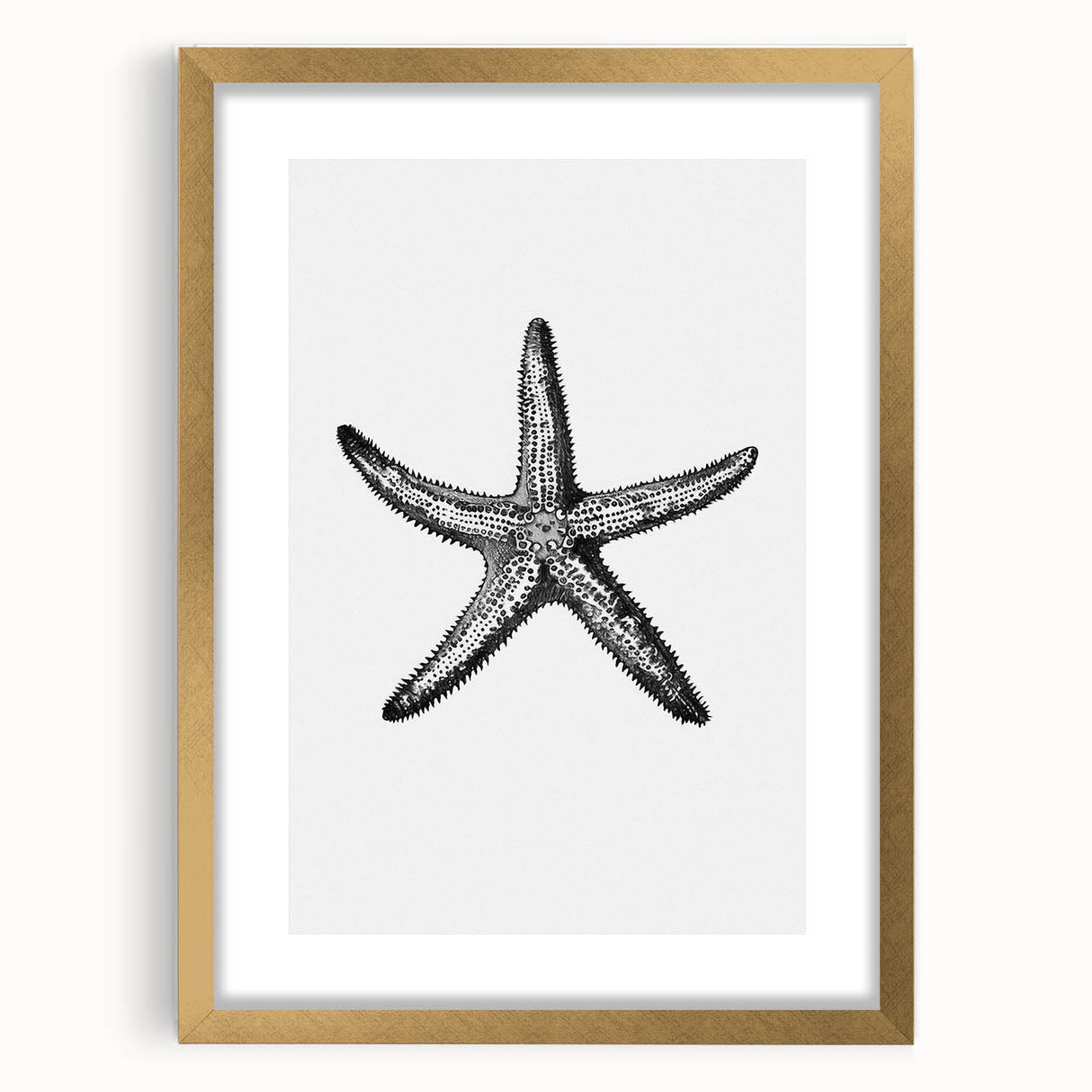 Black & White Starfish Coastal Wall Art - Nautical Decor Ocean Art Print