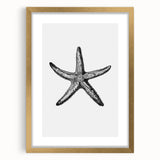 Black & White Starfish Coastal Wall Art - Nautical Decor Ocean Art Print