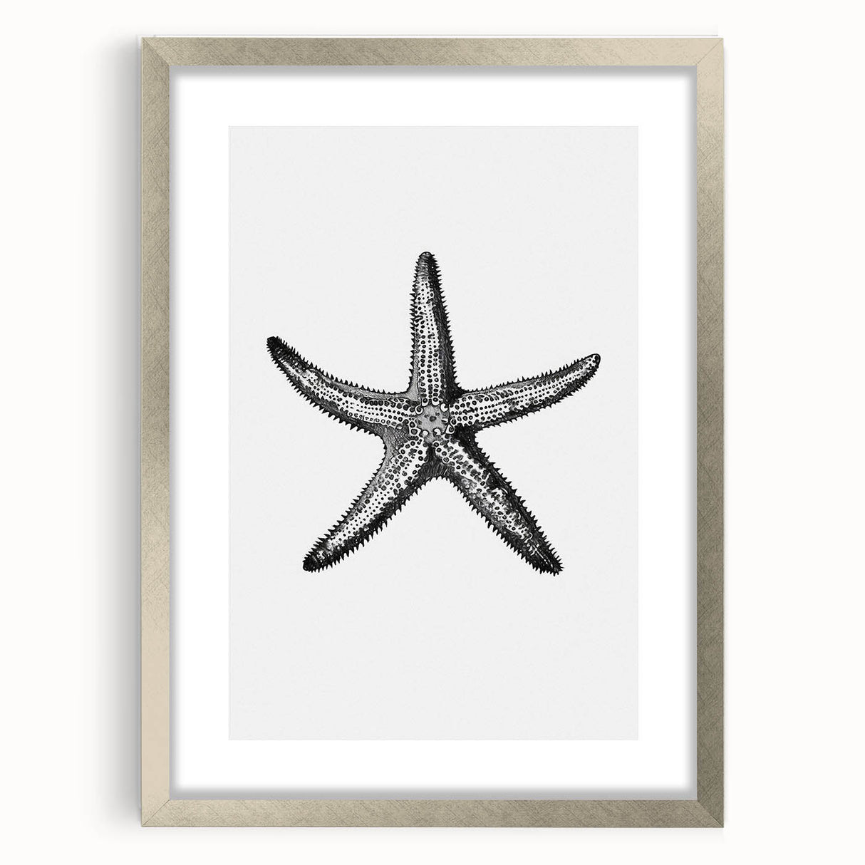 Black & White Starfish Coastal Wall Art - Nautical Decor Ocean Art Print