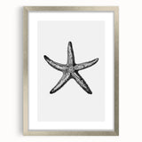 Black & White Starfish Coastal Wall Art - Nautical Decor Ocean Art Print