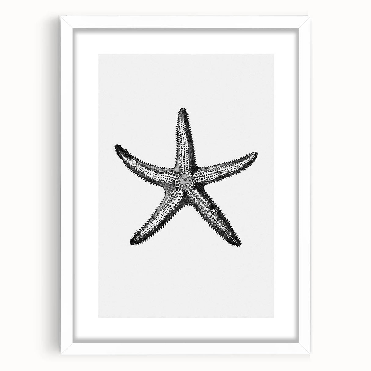 Black & White Starfish Coastal Wall Art - Nautical Decor Ocean Art Print