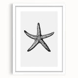 Black & White Starfish Coastal Wall Art - Nautical Decor Ocean Art Print