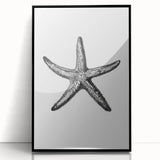 Black & White Starfish Coastal Wall Art - Nautical Decor Ocean Art Print