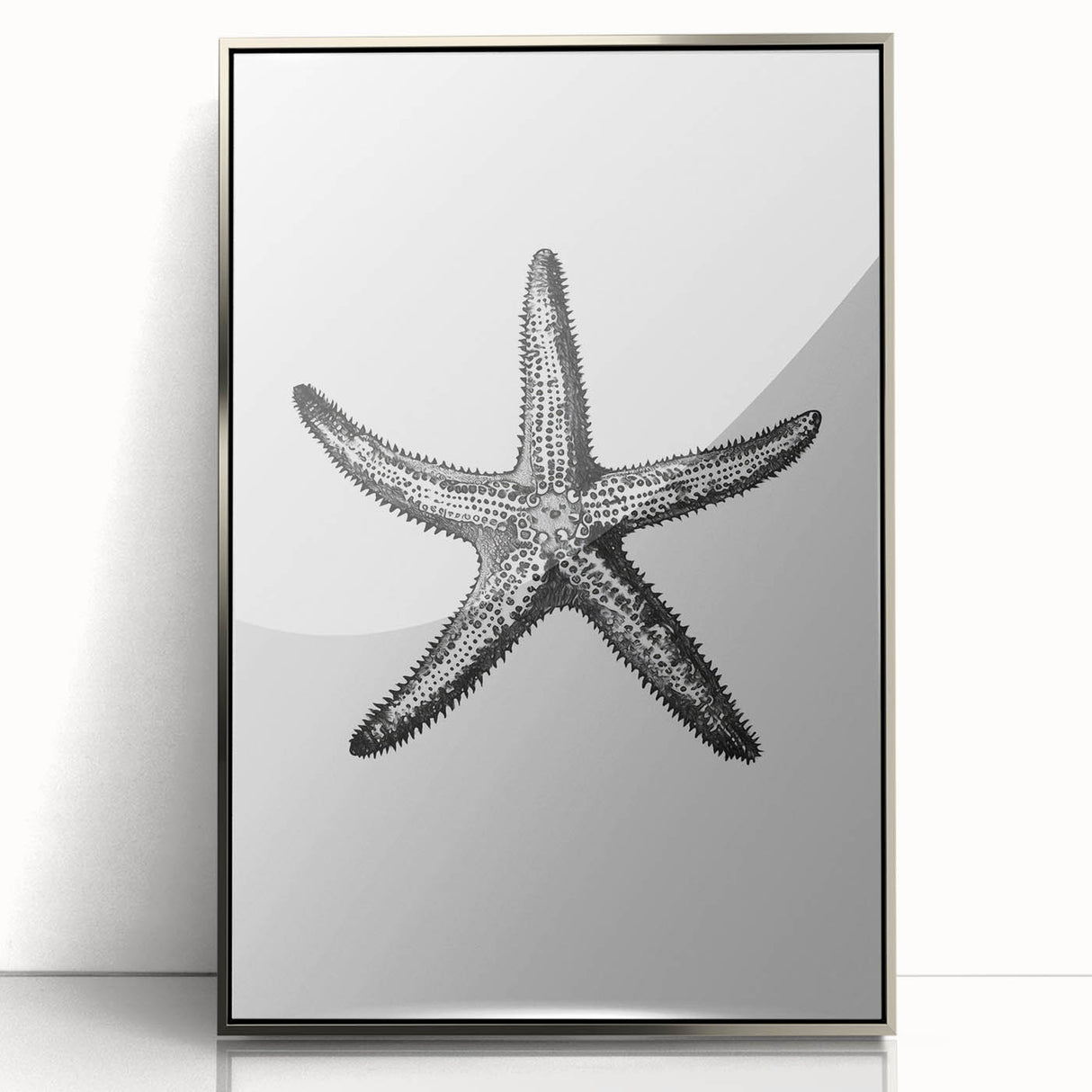 Black & White Starfish Coastal Wall Art - Nautical Decor Ocean Art Print