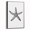 Black & White Starfish Coastal Wall Art - Nautical Decor Ocean Art Print