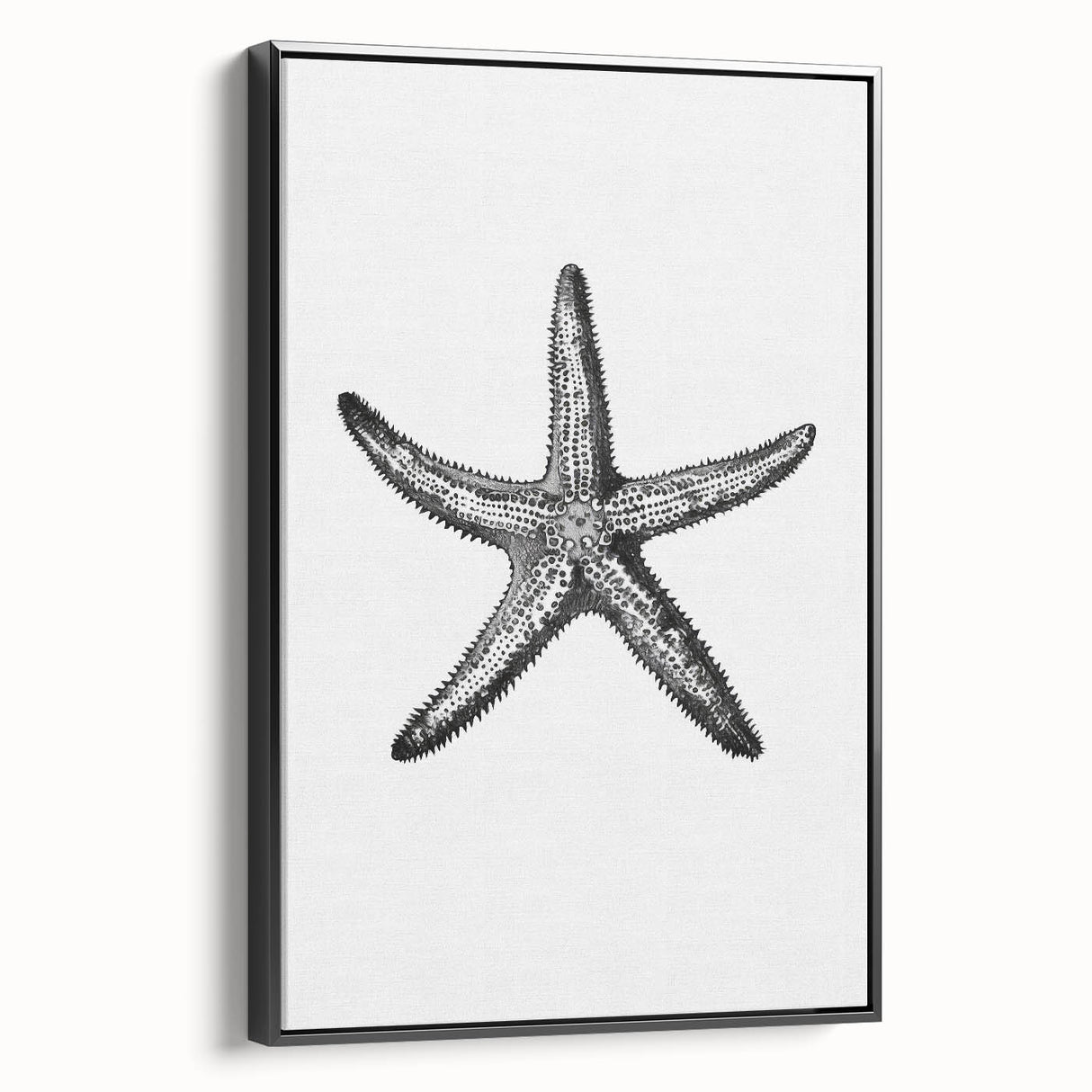 Black & White Starfish Coastal Wall Art - Nautical Decor Ocean Art Print