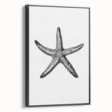 Black & White Starfish Coastal Wall Art - Nautical Decor Ocean Art Print
