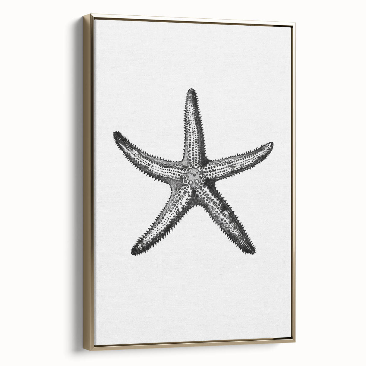 Black & White Starfish Coastal Wall Art - Nautical Decor Ocean Art Print