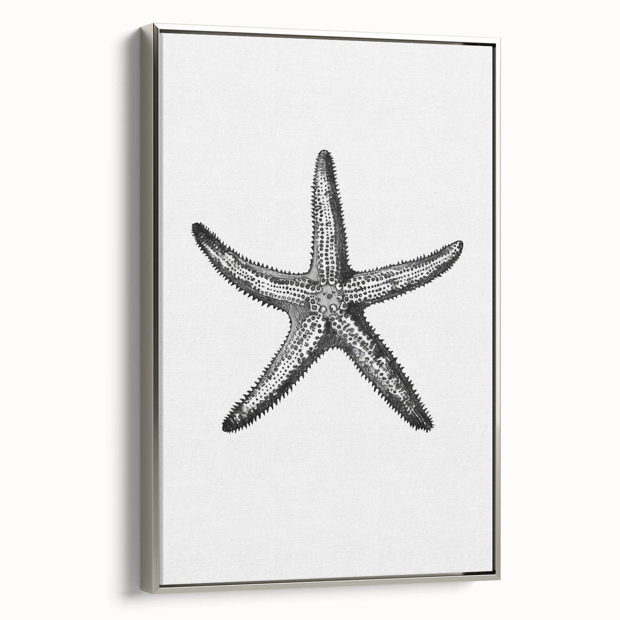 Black & White Starfish Coastal Wall Art - Nautical Decor Ocean Art Print