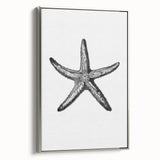 Black & White Starfish Coastal Wall Art - Nautical Decor Ocean Art Print